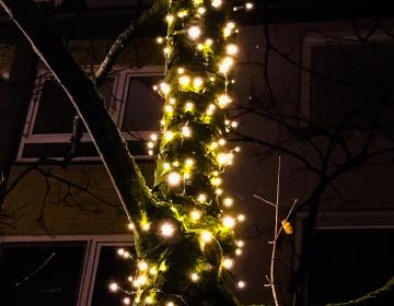Weihnachts-Jazz-Konzert-Bismarcks-Gluehweingarten