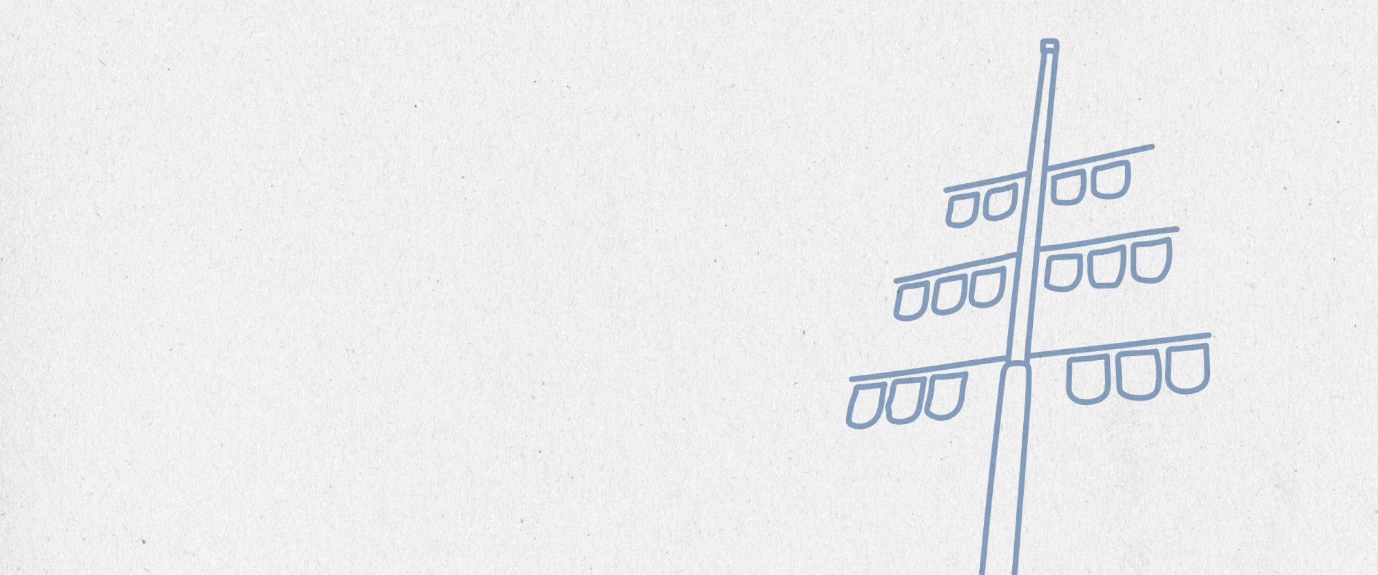 Kirschblüten in der Moltkestraße